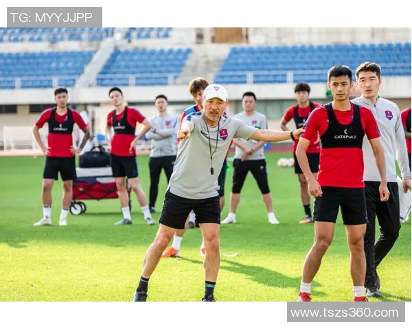 重庆排球队的奋斗与荣耀之路:杯赛特别报道揭秘他们的突破历程